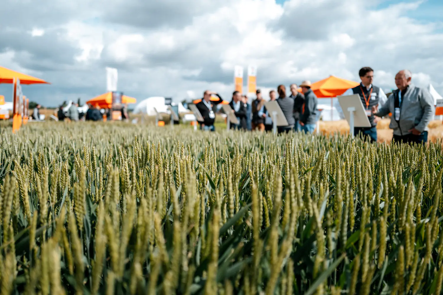 Business-Eventdokumentation - Photo 21
